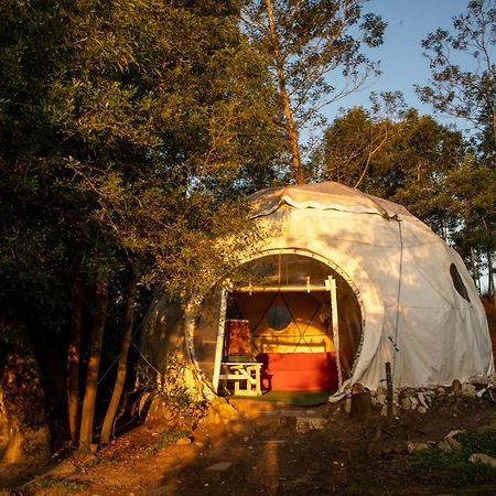 Forest Harmony Knysna Exterior foto