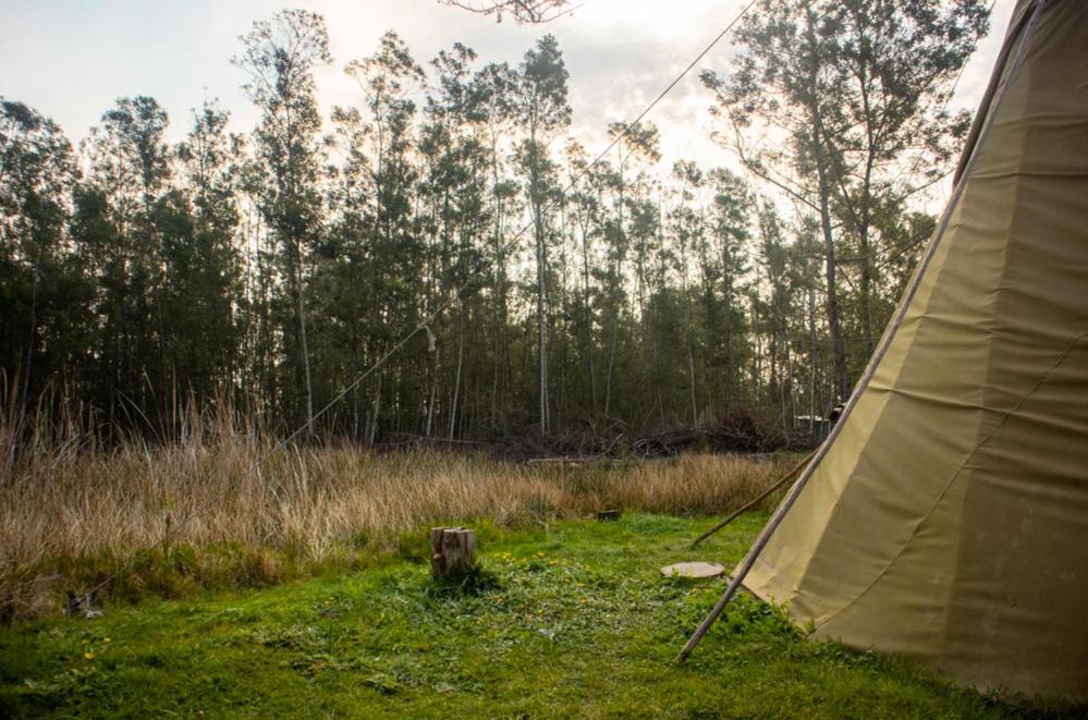 Forest Harmony Knysna Exterior foto