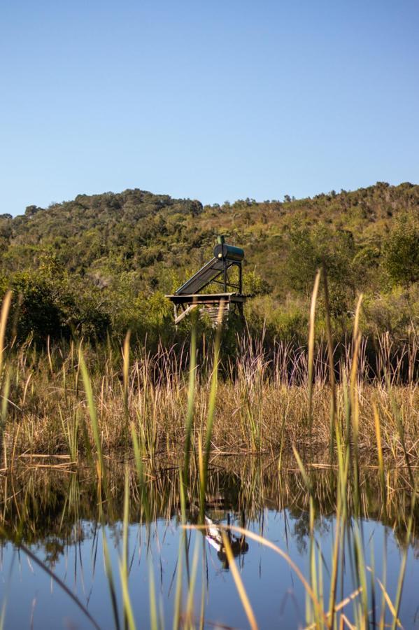Forest Harmony Knysna Exterior foto