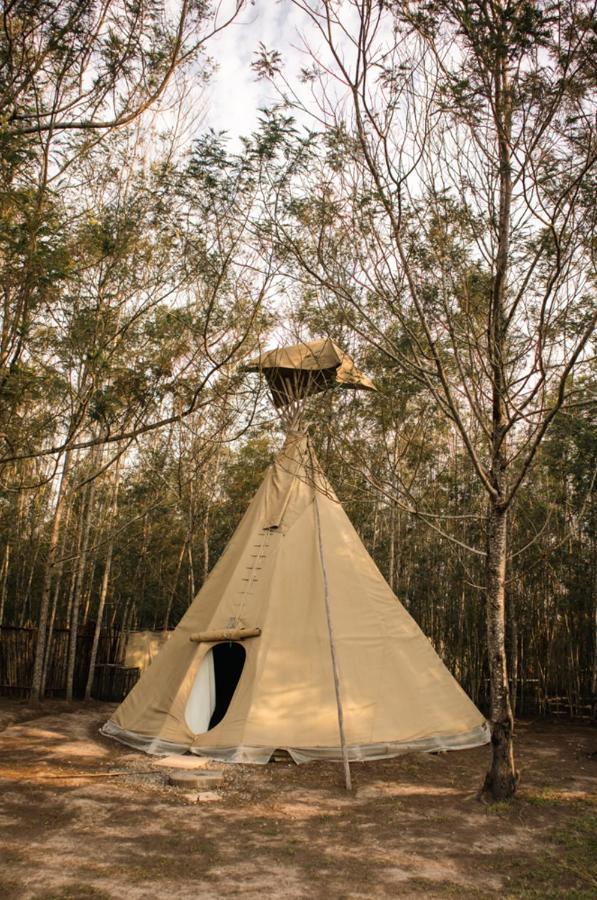 Forest Harmony Knysna Exterior foto