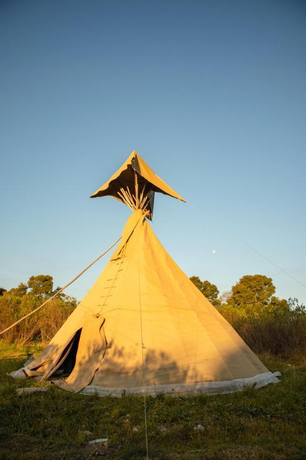 Forest Harmony Knysna Exterior foto