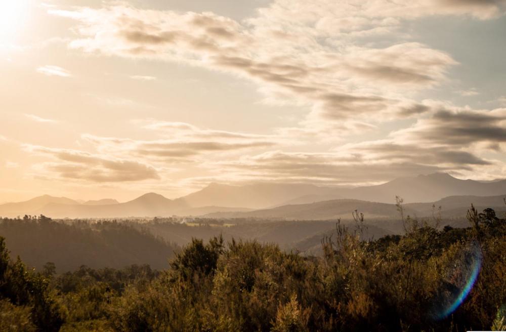 Forest Harmony Knysna Exterior foto